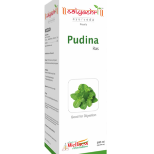 Pudina Ras 500ml