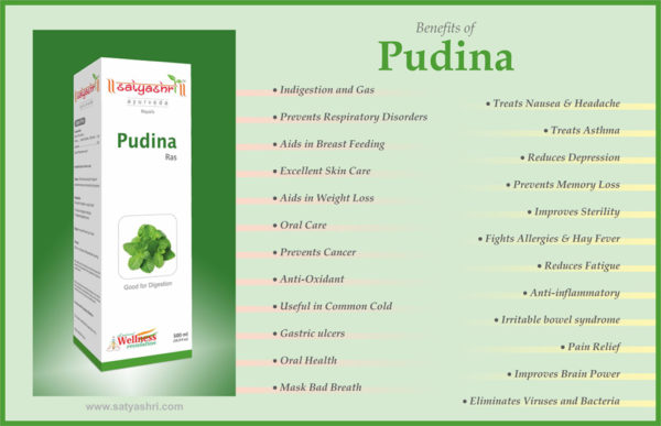 Pudina Ras 500ml