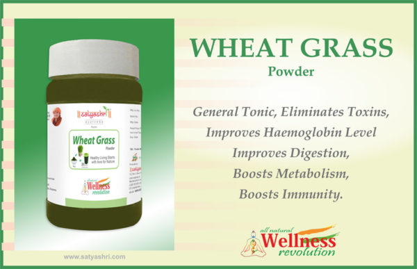 Wheat Grass